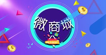 打造卓越的微信商城系统 B2C电子商务开发全攻略