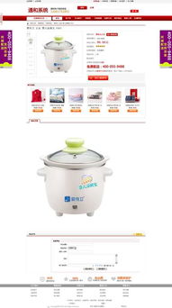 专业开发大型B2C与C2C电子商务系统及ERP系统 构建企业数字化转型的坚实基座